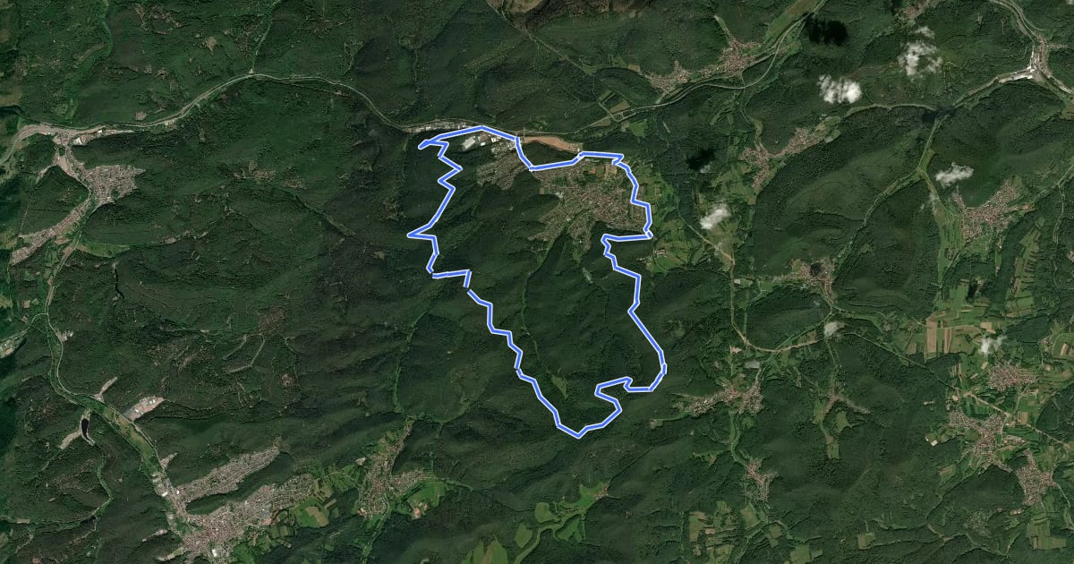 Маршрут Hauensteiner Höhenweg на спутниковом снимке
