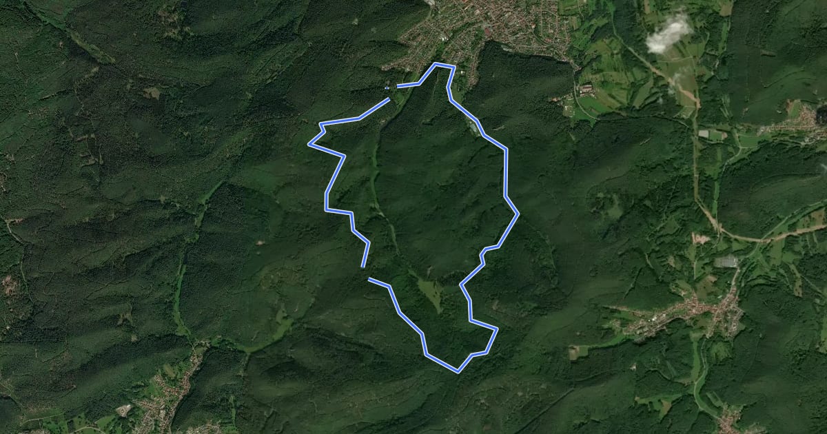 Маршрут Hauensteiner Nr. 11 на спутниковом снимке