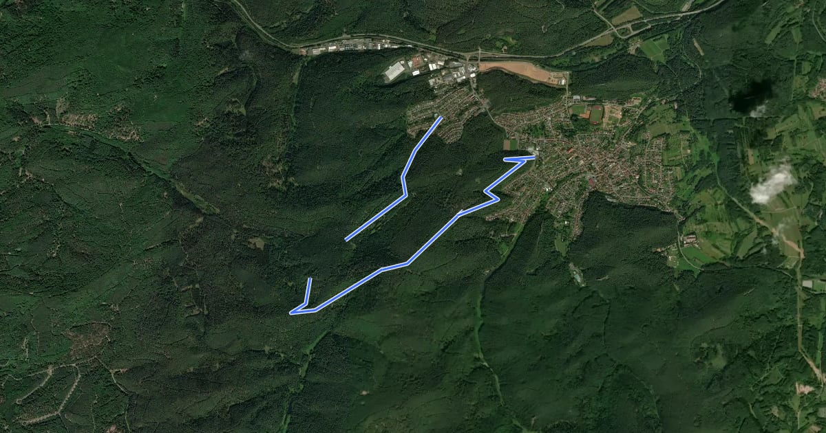 Маршрут Hauensteiner Nr. 2 на спутниковом снимке