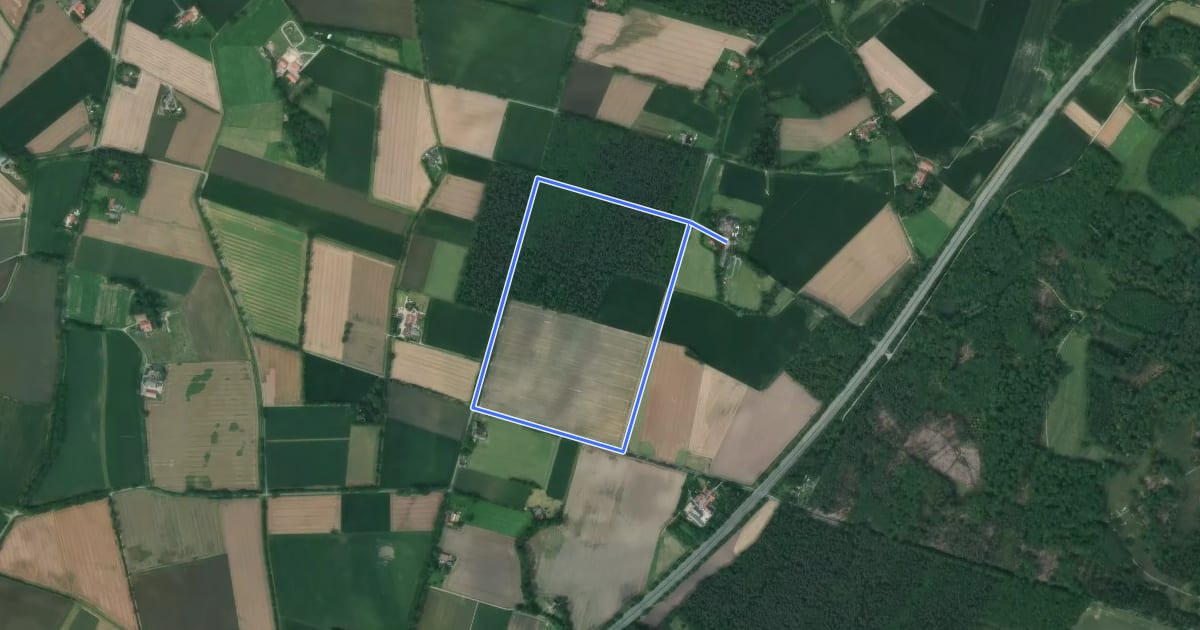 Маршрут Haus Waldfrieden Rundweg A9 на спутниковом снимке