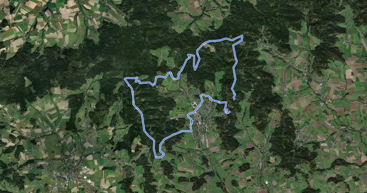 Маршрут Hausruckwald-Höhenkammtour на спутниковом снимке