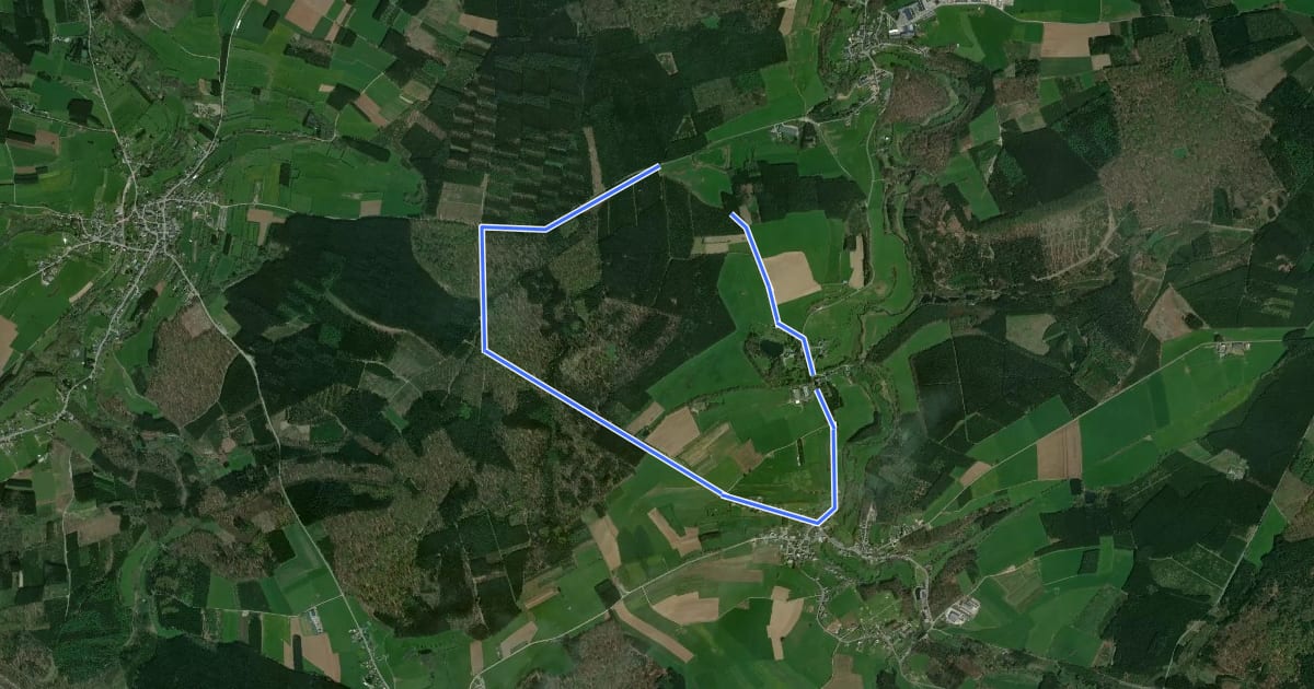 Маршрут Haut Mont на спутниковом снимке