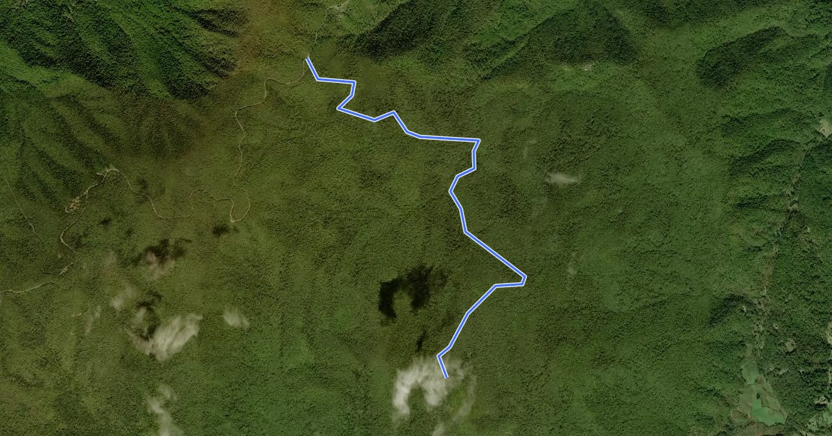 Маршрут Hazel Mountain Trail на спутниковом снимке