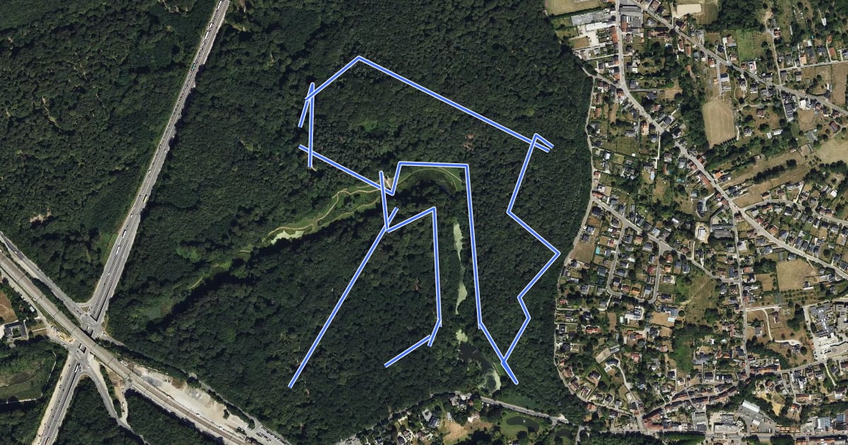Маршрут Hazendalwandeling на спутниковом снимке