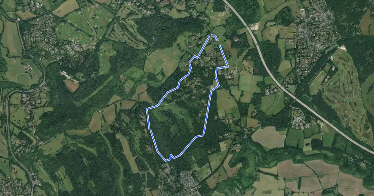 Маршрут Headley Heath Circuit, Box Hill на спутниковом снимке