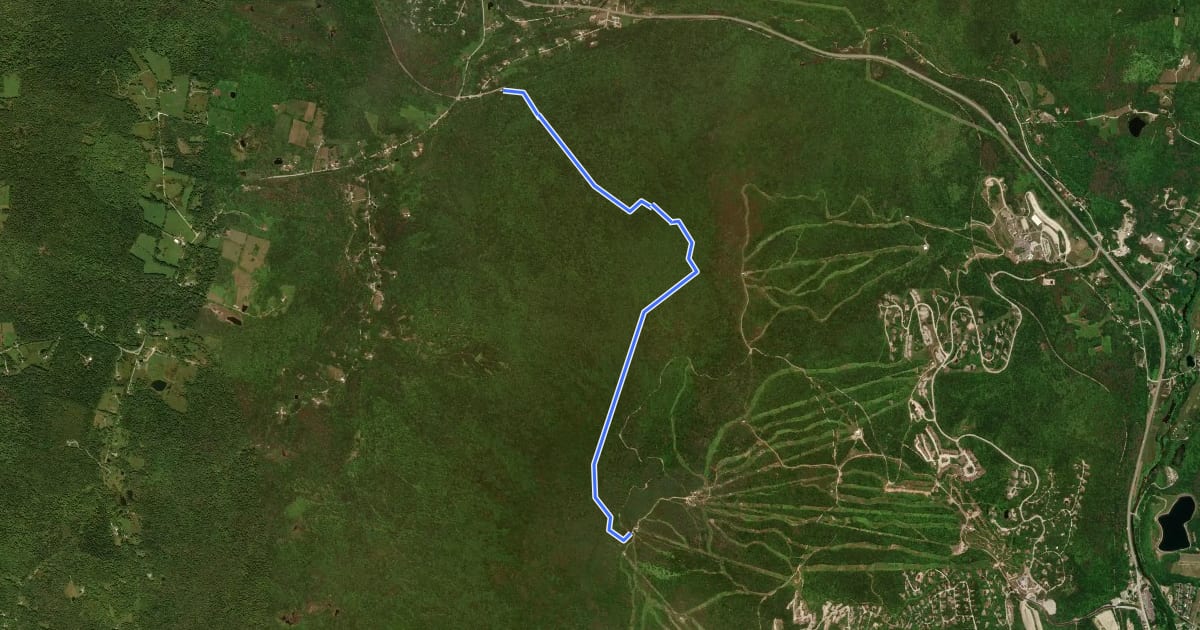 Маршрут Healdville Trail (Blue) на спутниковом снимке