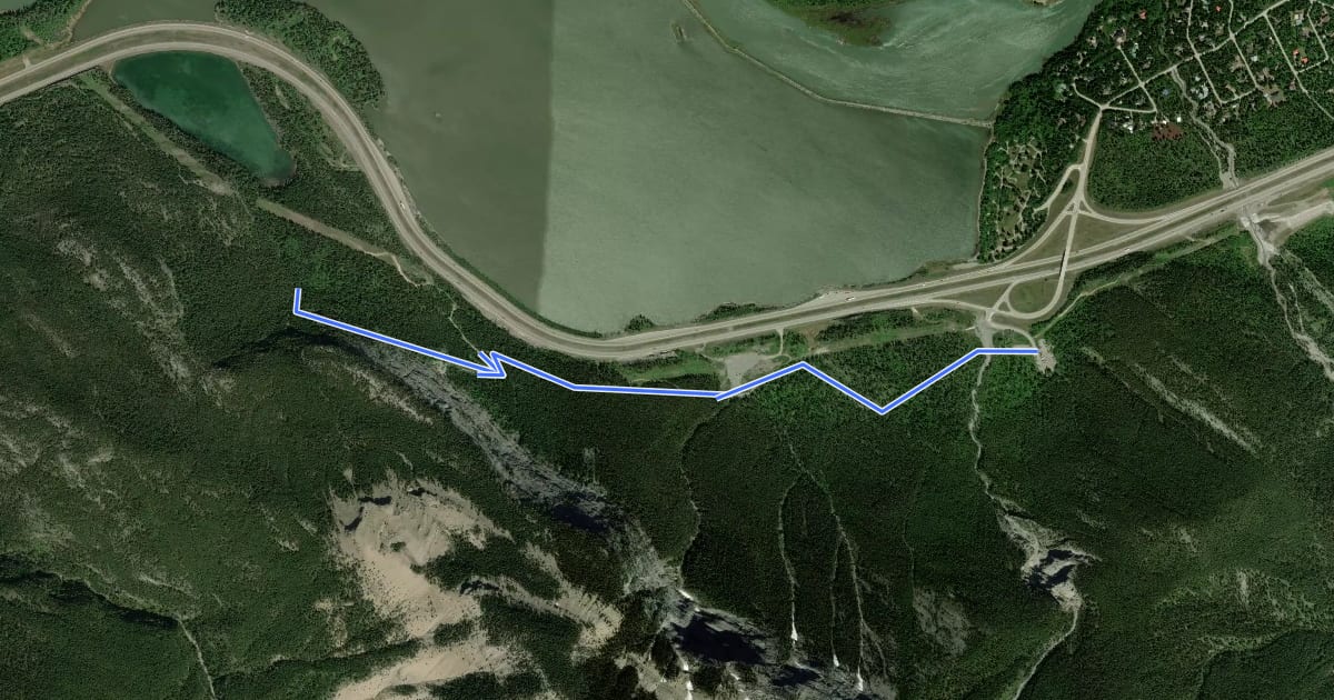 Маршрут Heart Creek Bunker Trail на спутниковом снимке