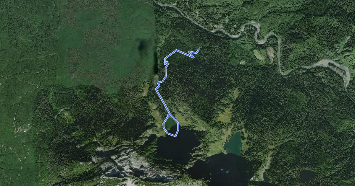 Маршрут Heather Lake Trail на спутниковом снимке