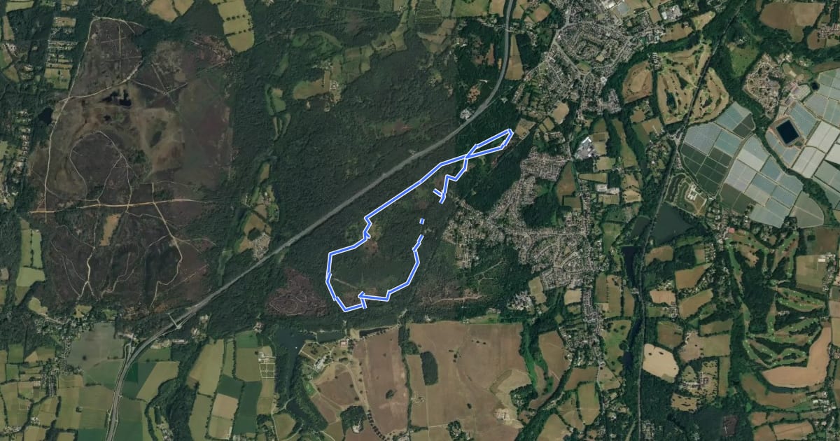 Маршрут Heathland Hike, Hindhead на спутниковом снимке