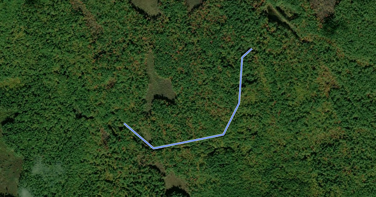 Маршрут Hedge Hog Trail на спутниковом снимке