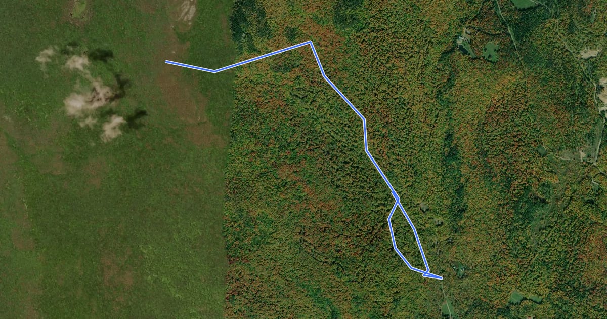 Маршрут Hedgehog Brook Trail на спутниковом снимке