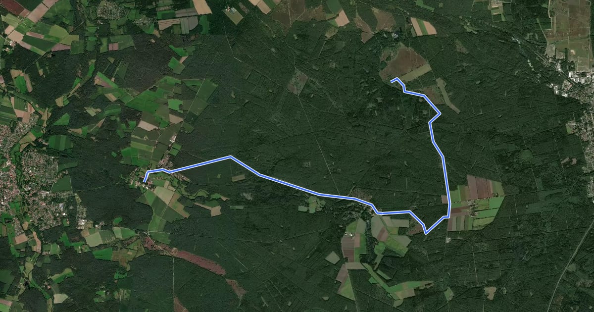 Маршрут Heidschnuckenweg Etappe 11 Oberoher Heide - Weesen на спутниковом снимке