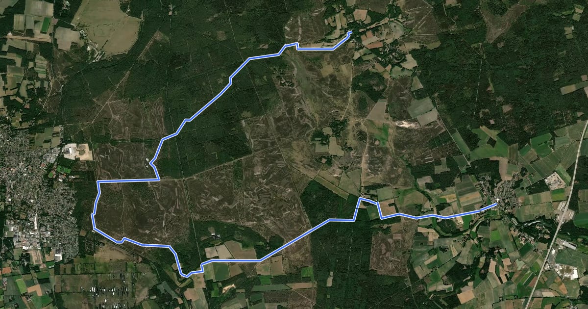Маршрут Heidschnuckenweg, Zugangsweg Schneverdingen (Variante der Etappe 5) на спутниковом снимке