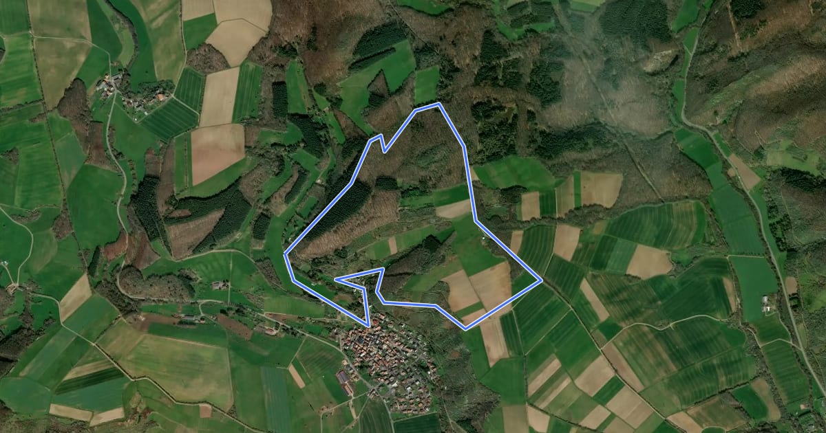 Маршрут Heiligenberg W1 на спутниковом снимке