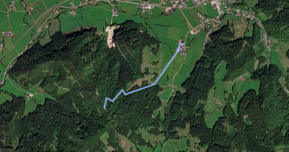 Маршрут Heiligenstein über Kreuzweg E06 на спутниковом снимке