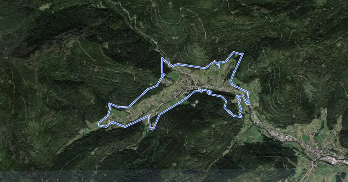 Маршрут Heilklima-Wandern 5 на спутниковом снимке