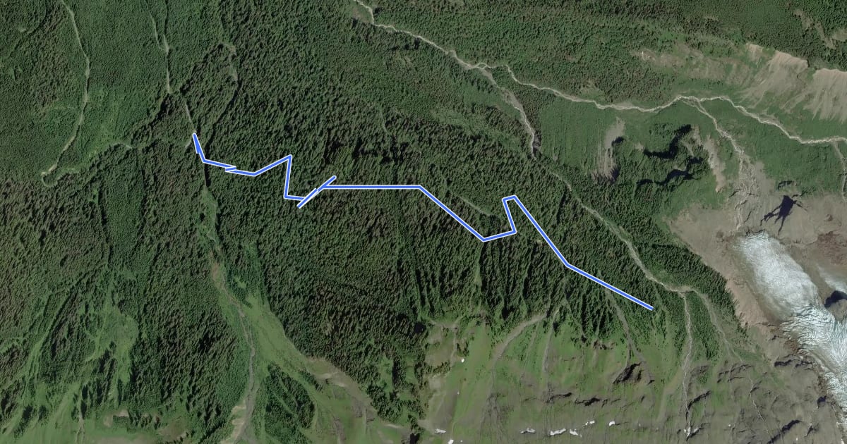 Маршрут Heliotrope Ridge Trail на спутниковом снимке