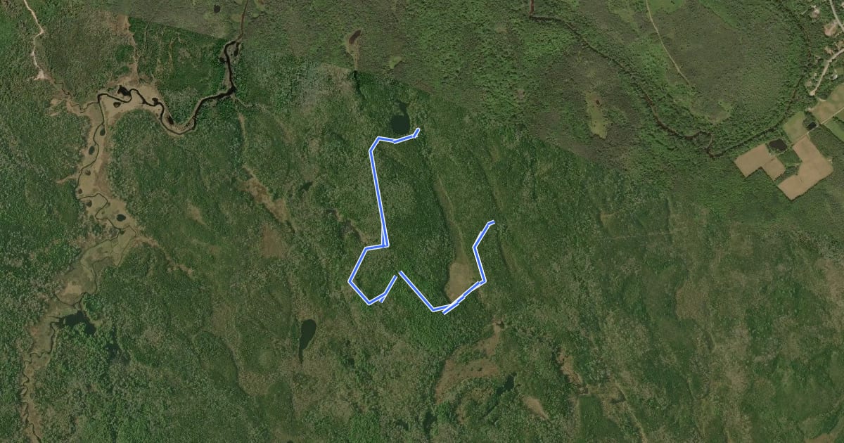 Маршрут Hemlock Cathedral Trail на спутниковом снимке