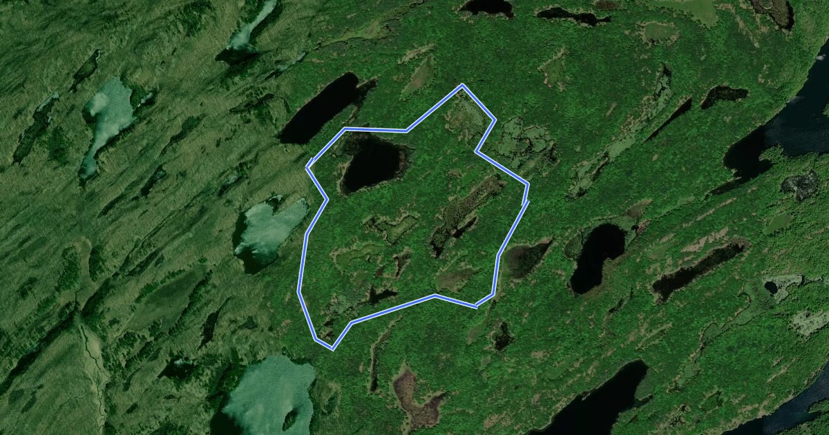 Маршрут Hemlock Lake Loop на спутниковом снимке