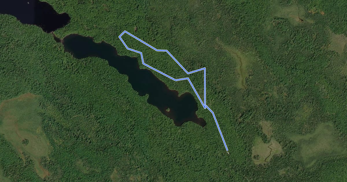 Маршрут Hemlocks and Hardwoods Trail на спутниковом снимке