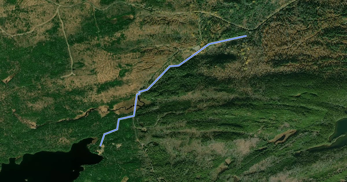 Маршрут Henderson Brook Trail на спутниковом снимке