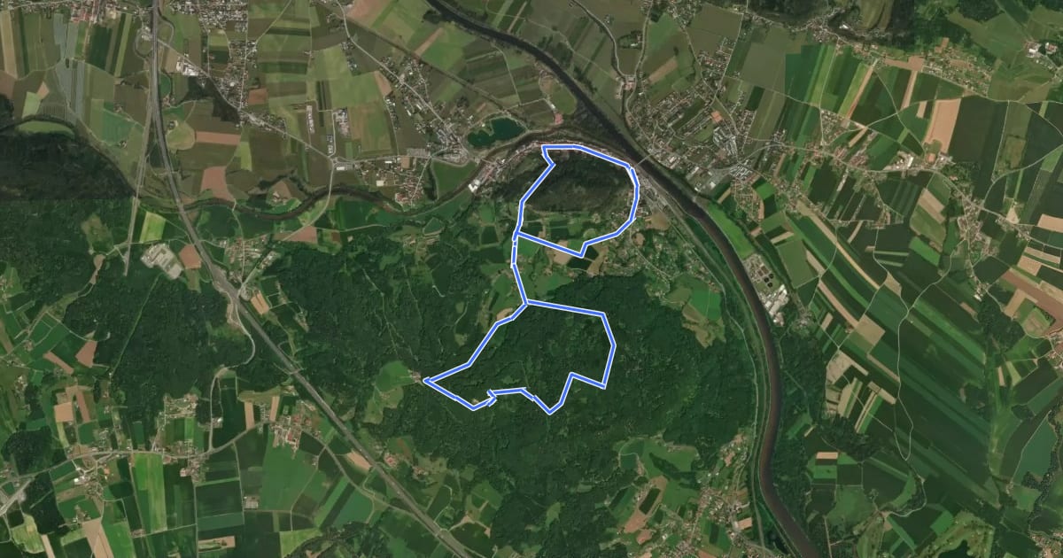 Маршрут Hengist Kulturwanderweg Wildon-Runde на спутниковом снимке