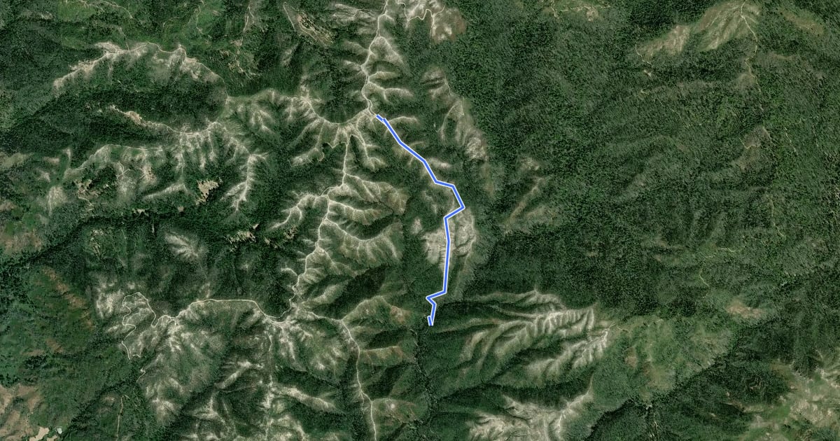 Маршрут Henry Creek Trail на спутниковом снимке