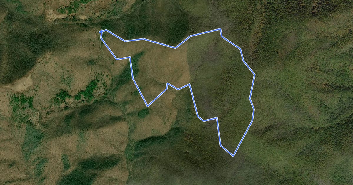 Маршрут Henry Lanum Memorial Trail на спутниковом снимке