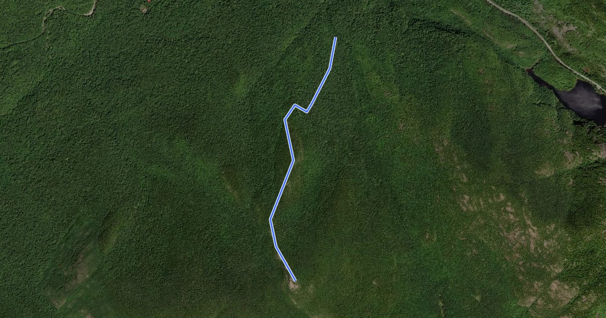 Маршрут Henry Stimson Trail на спутниковом снимке