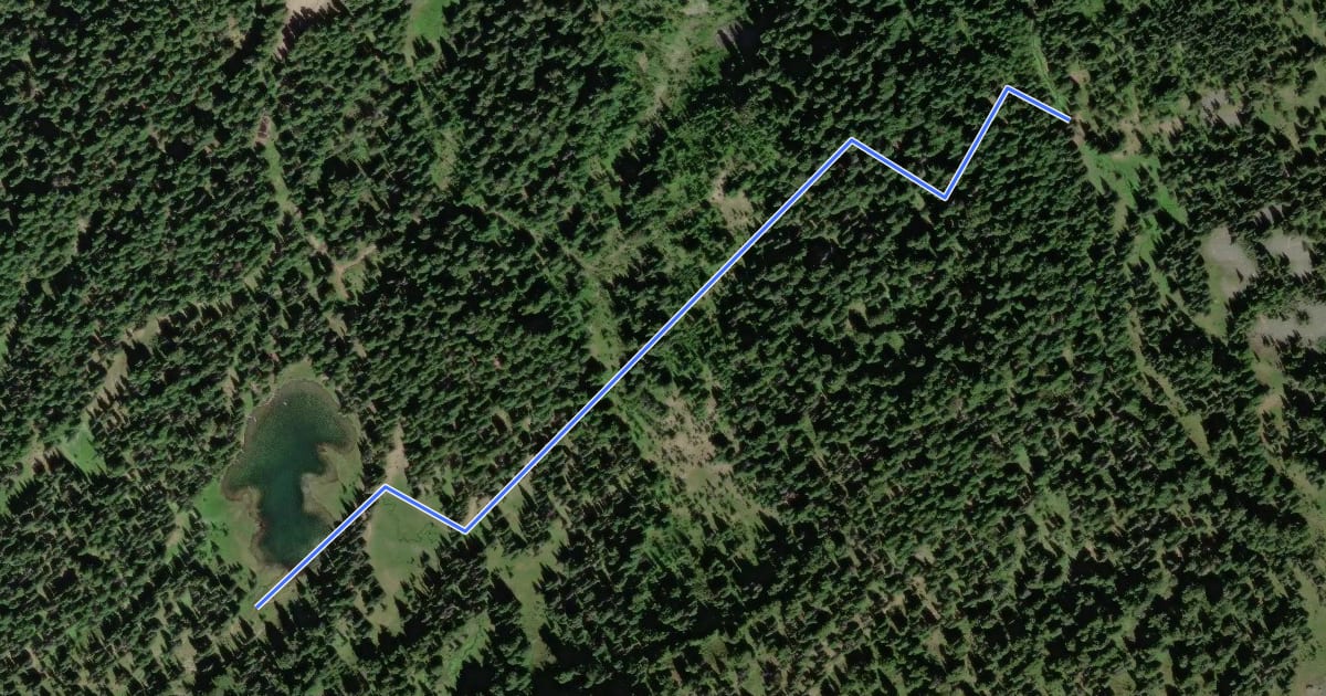 Маршрут Henskin Lake Trail на спутниковом снимке