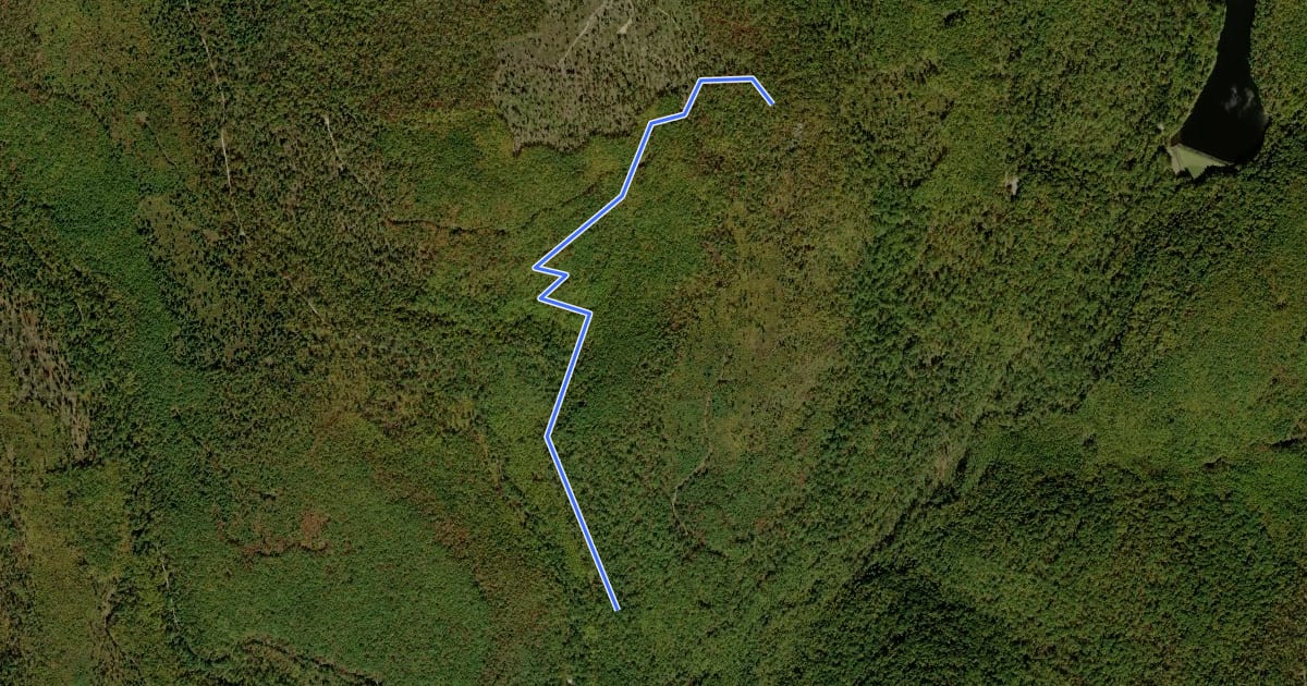 Маршрут Hermitage Trail на спутниковом снимке