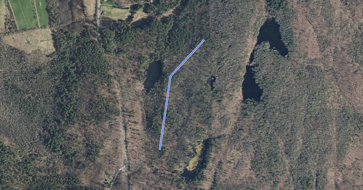 Маршрут Heron Pond Ridge на спутниковом снимке