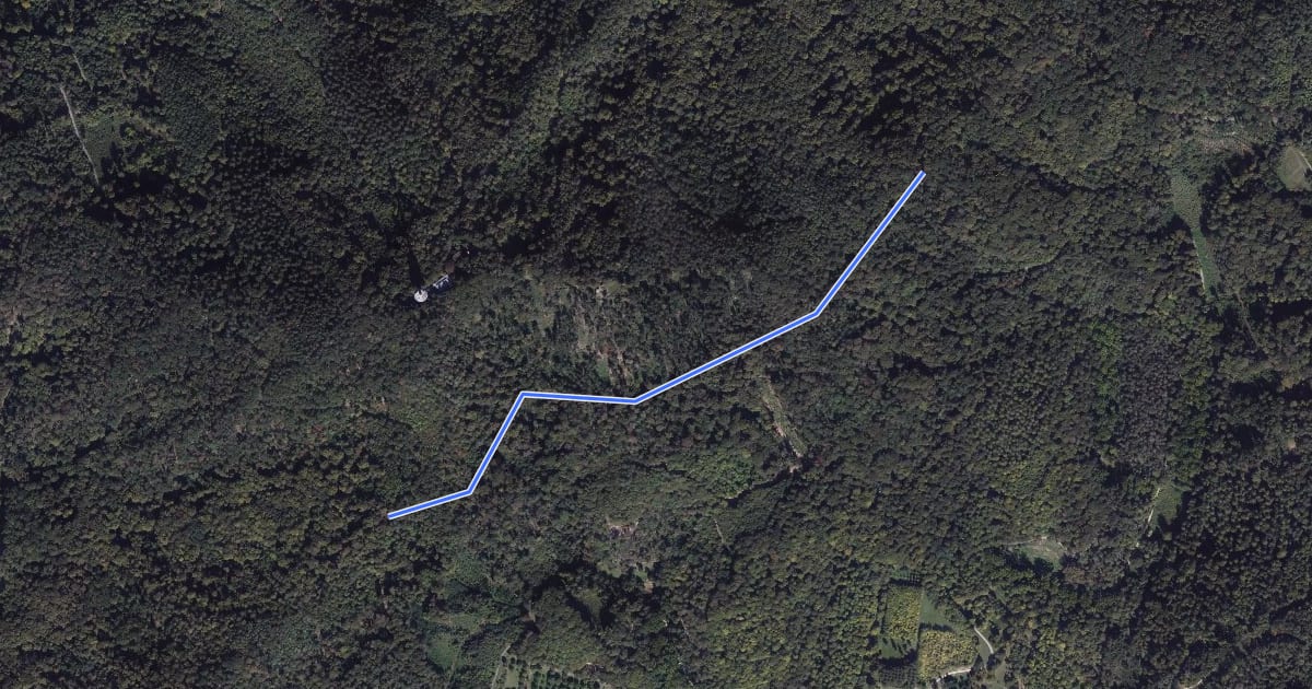 Маршрут Herrenweg - Adlerhorstsattel на спутниковом снимке
