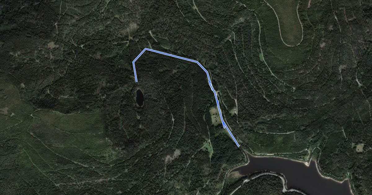 Маршрут Herrenwieser See - Seebachmündung на спутниковом снимке