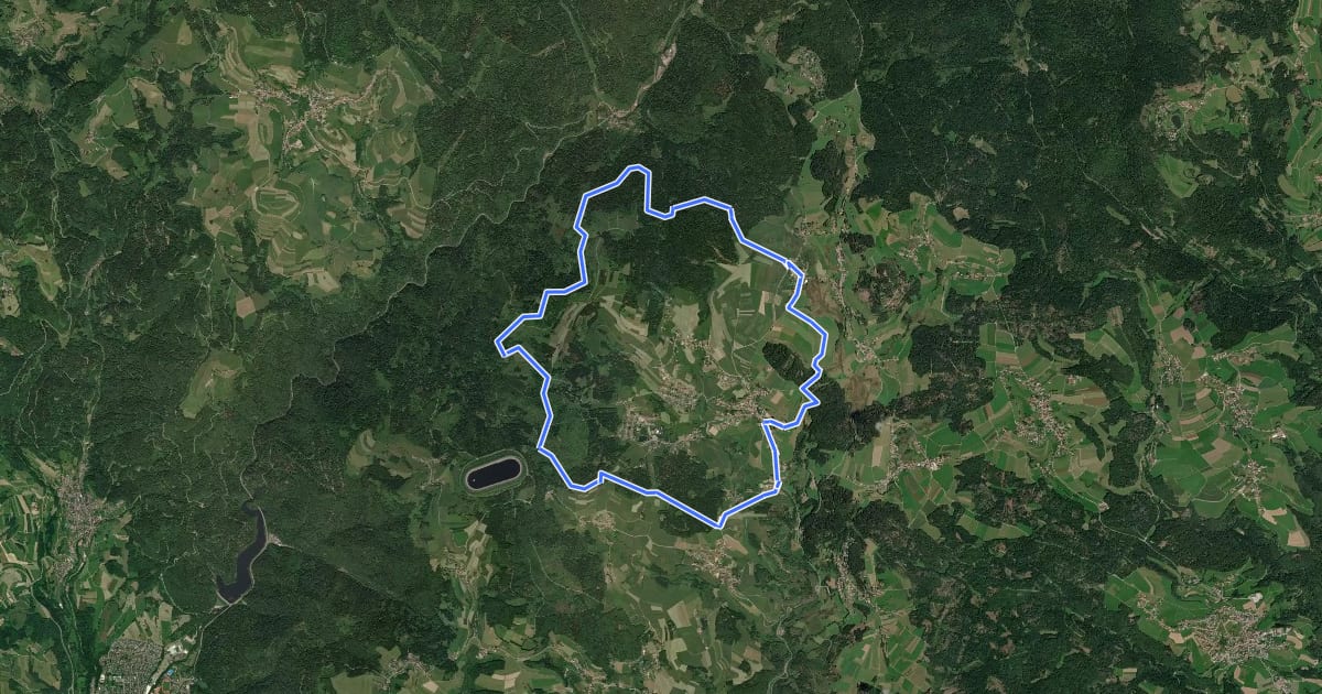 Маршрут Herrischried_ Aussichtsreiche Mountainbike-Rundtour на спутниковом снимке