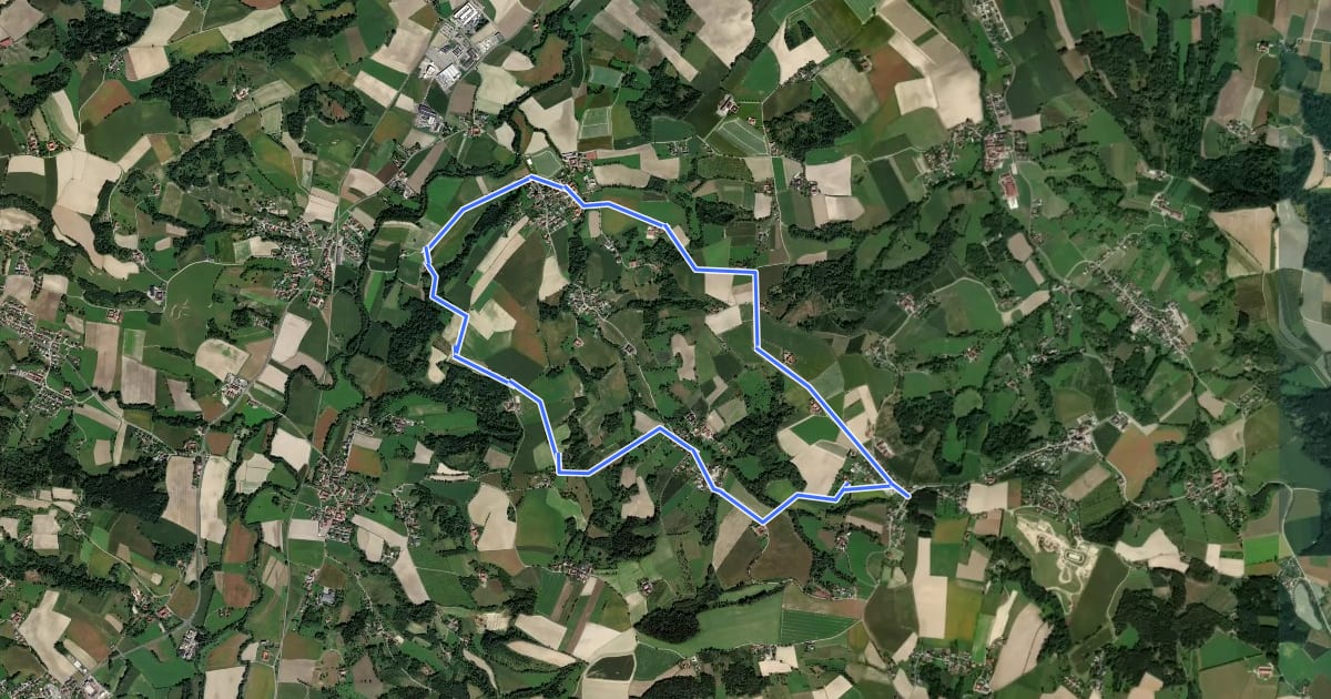 Маршрут Herrnholzer Rundweg на спутниковом снимке