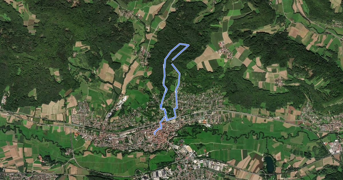 Маршрут Hersbrucker Rundweg Nr. 1 на спутниковом снимке