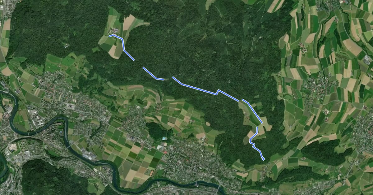 Маршрут Hertenstein - Steinenbüel на спутниковом снимке