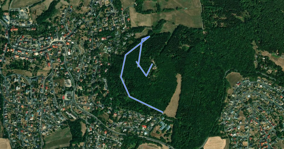 Маршрут Hessenturm, Naturparkweg 1 на спутниковом снимке