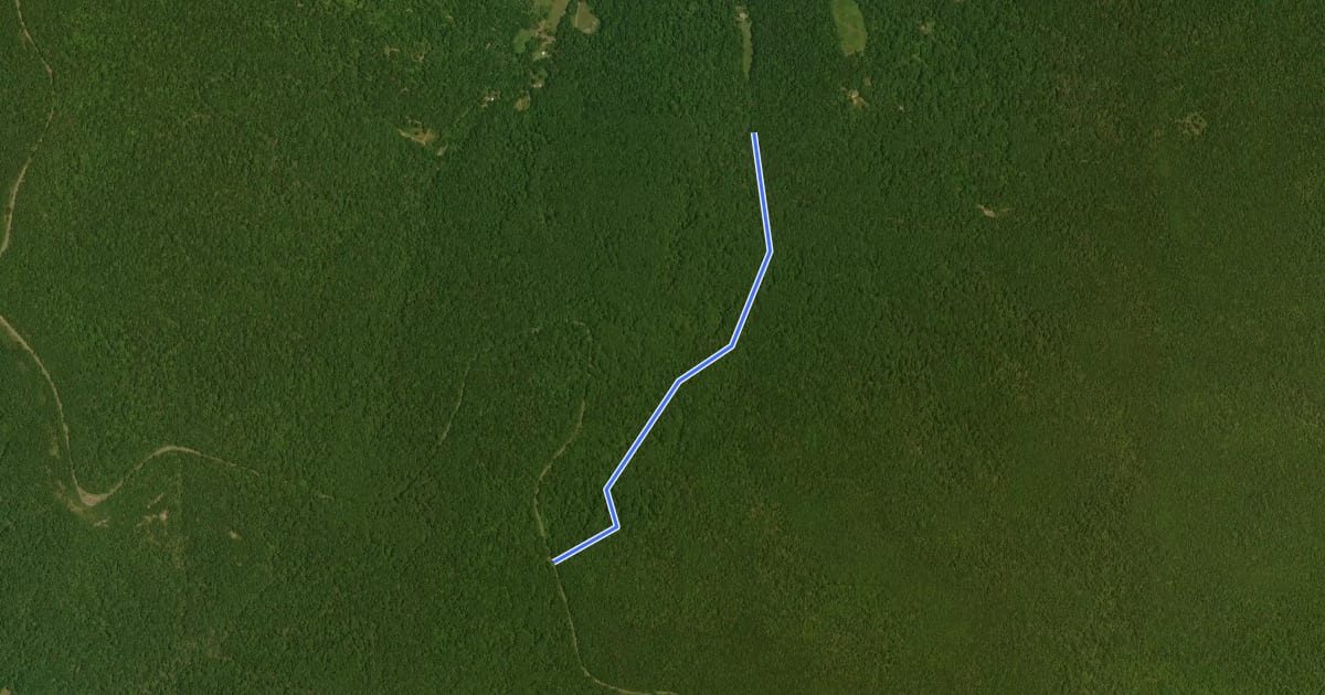 Маршрут Hickerson Hollow Trail на спутниковом снимке