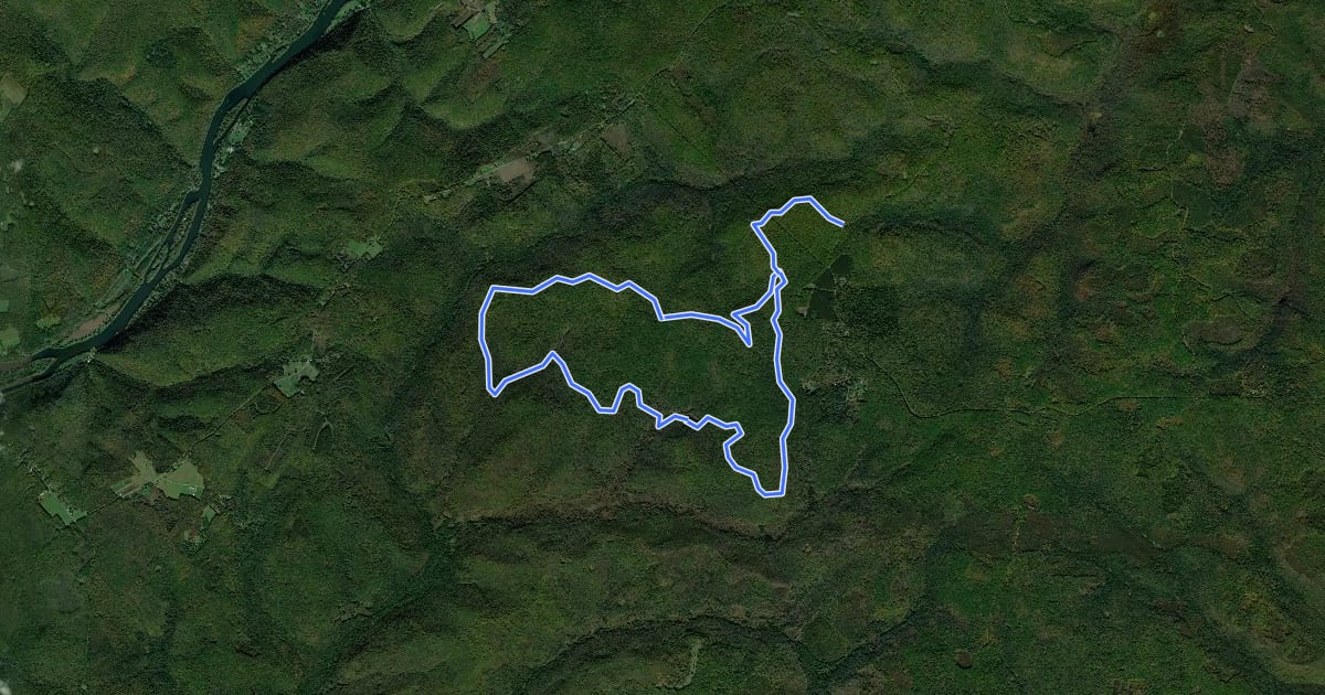 Маршрут Hickory Creek Wilderness Trail на спутниковом снимке
