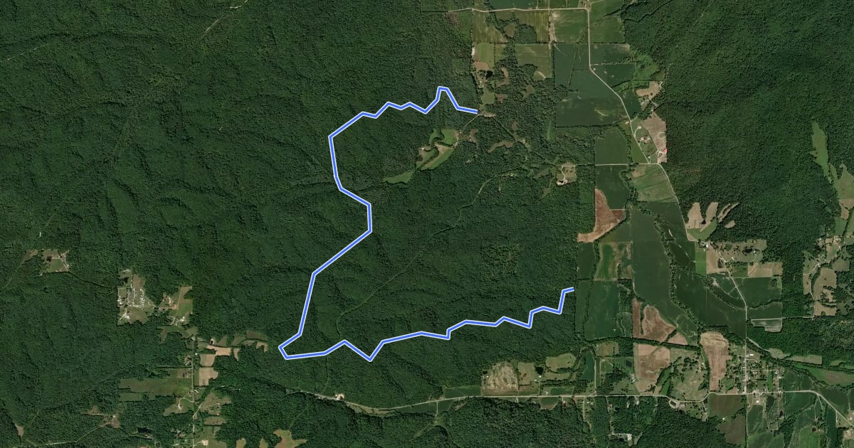 Маршрут Hickory Ridge Trail 16 на спутниковом снимке