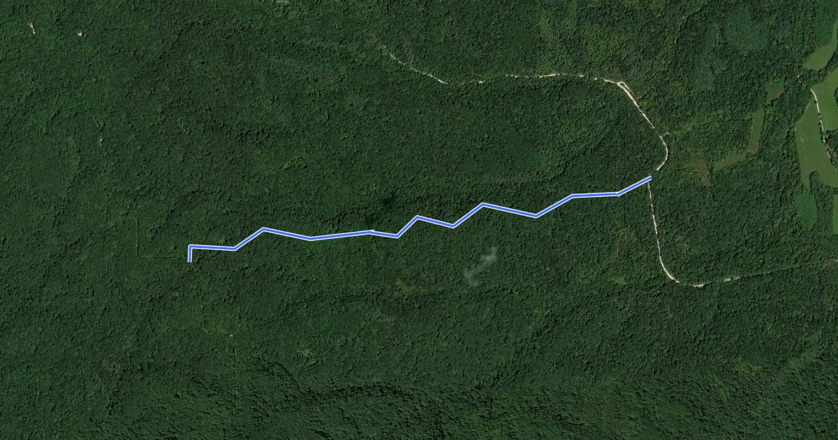 Маршрут Hickory Ridge Trail 19 на спутниковом снимке