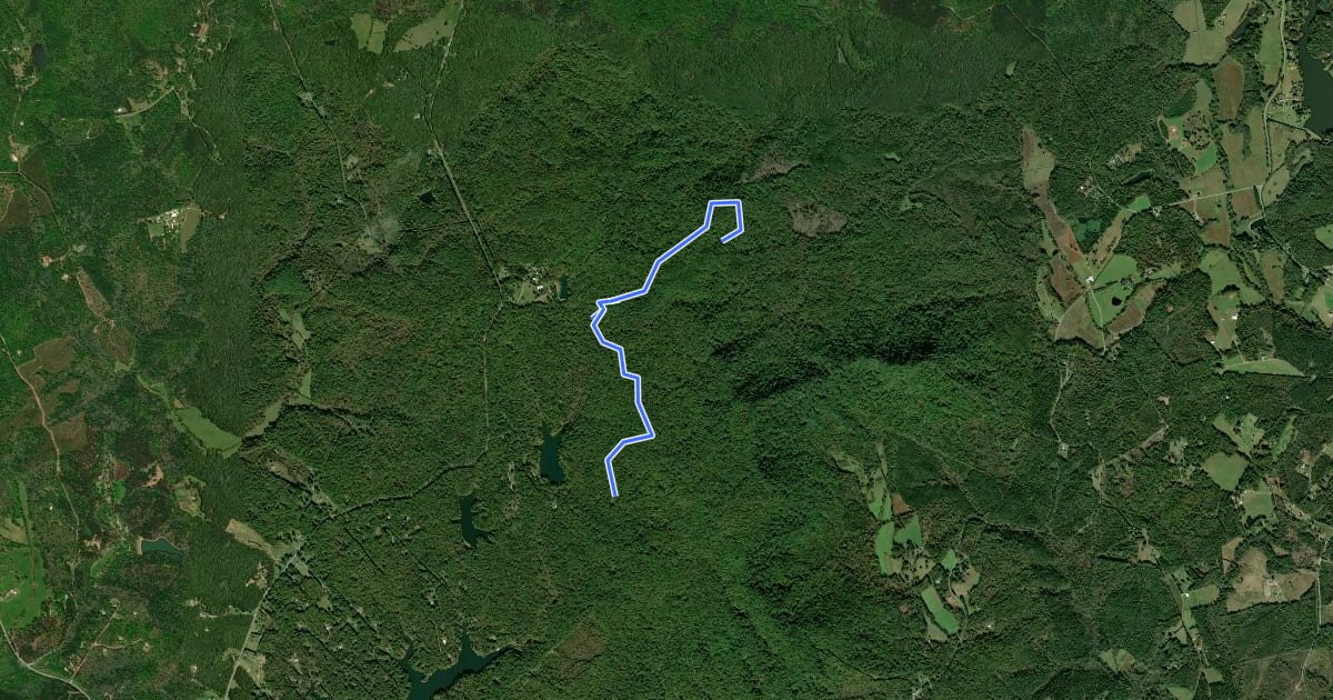 Маршрут Hidden Falls Trail на спутниковом снимке