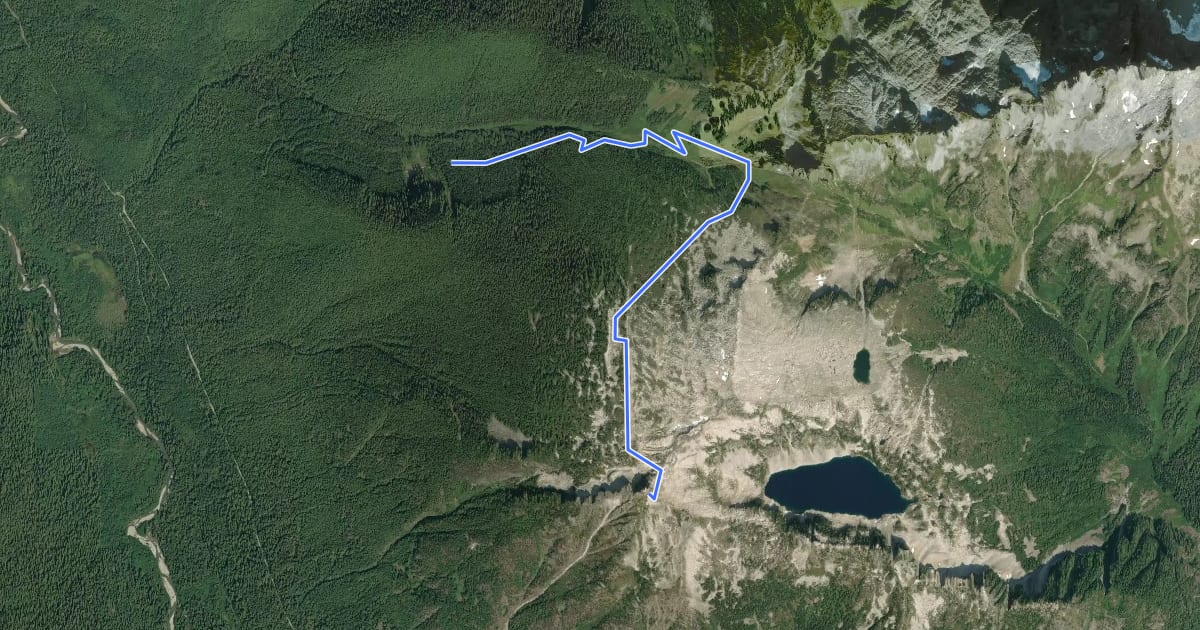 Маршрут Hidden Lake Trail на спутниковом снимке