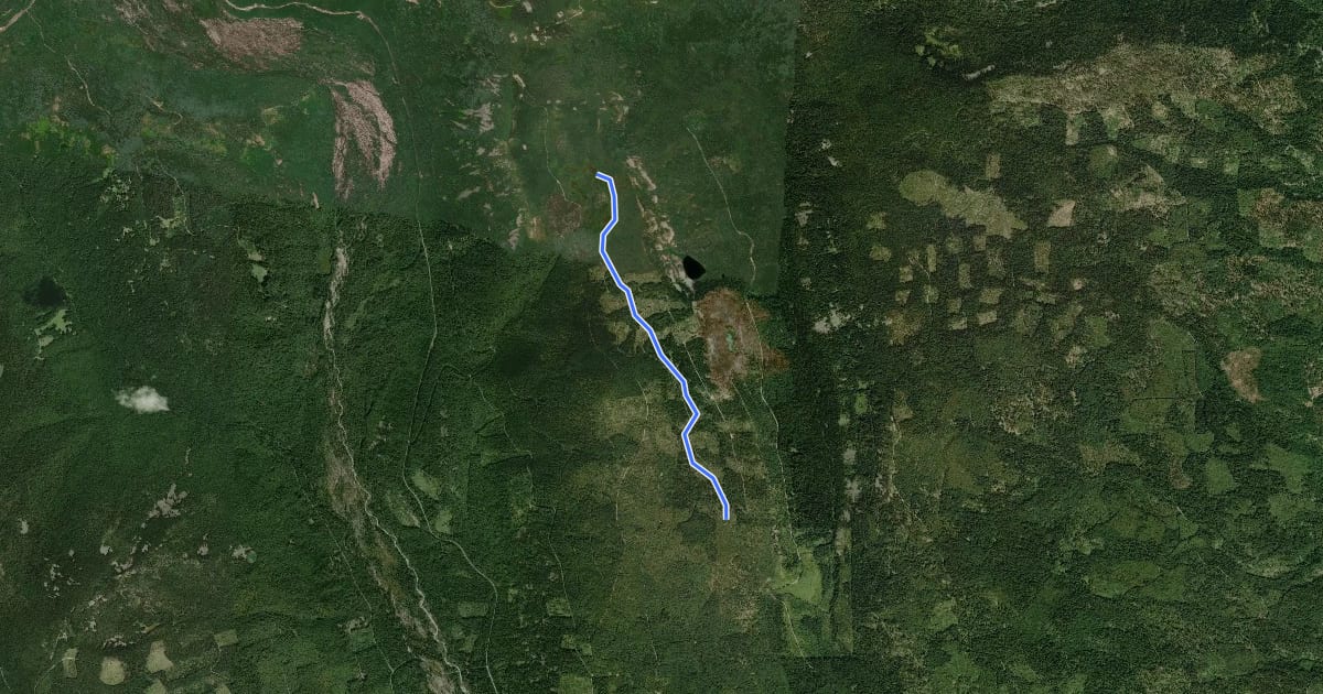 Маршрут Hidden Meadows Trail на спутниковом снимке