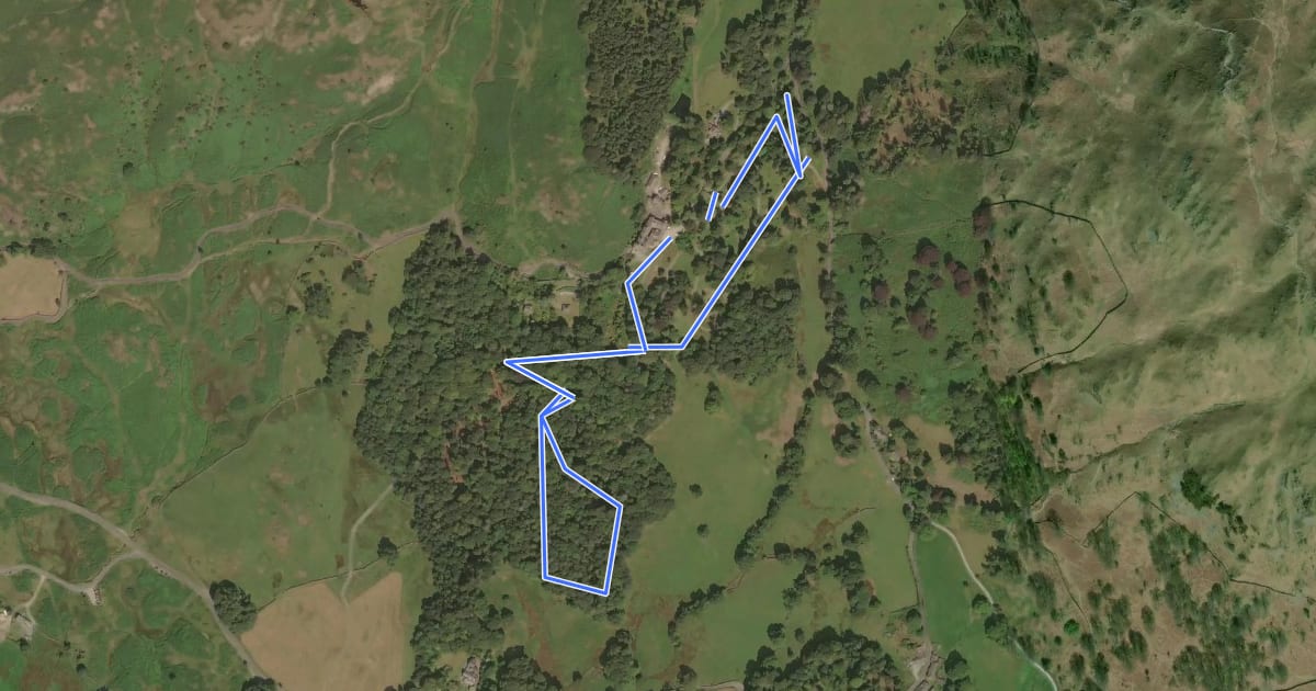 Маршрут High Close Tree Trail на спутниковом снимке