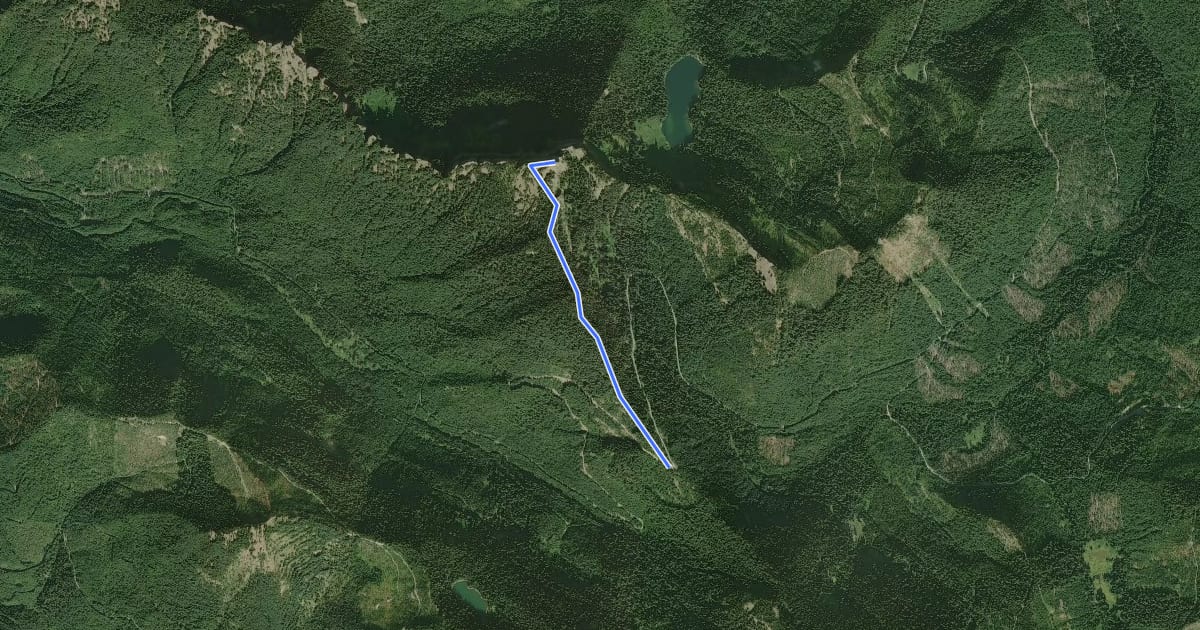 Маршрут High Rock Trail #266 на спутниковом снимке