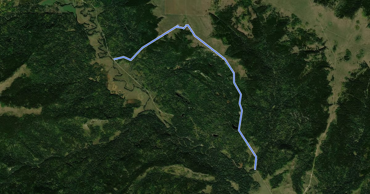 Маршрут High-vista Trail на спутниковом снимке