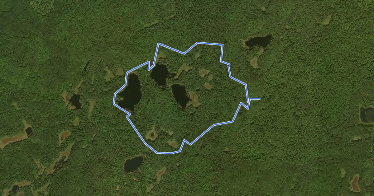 Маршрут Hildebrand Lake Loop на спутниковом снимке